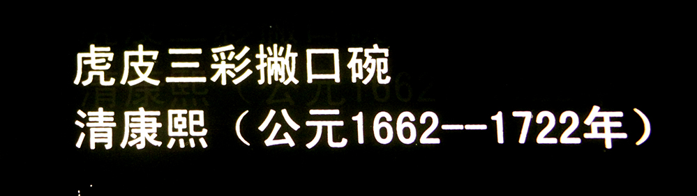 IMGL3768.jpg