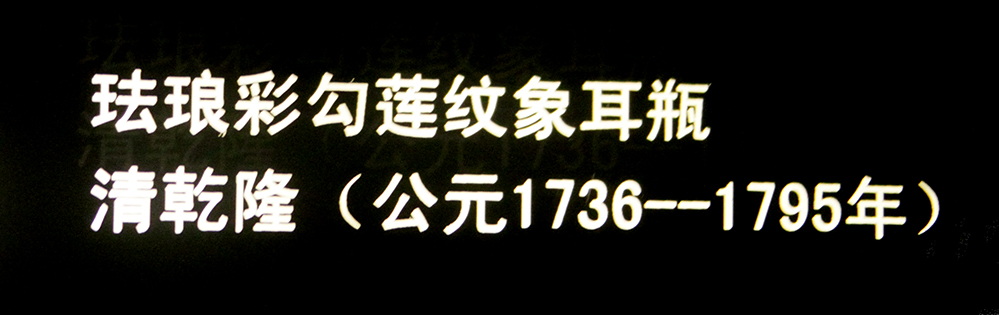 IMGL3770.jpg