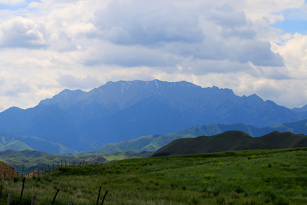 IMG_1284.jpg
