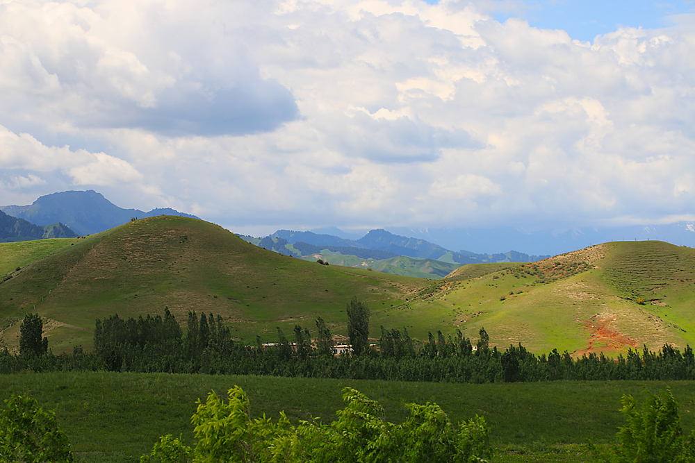 IMG_1319.jpg