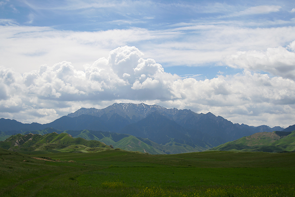 IMG_4700.jpg