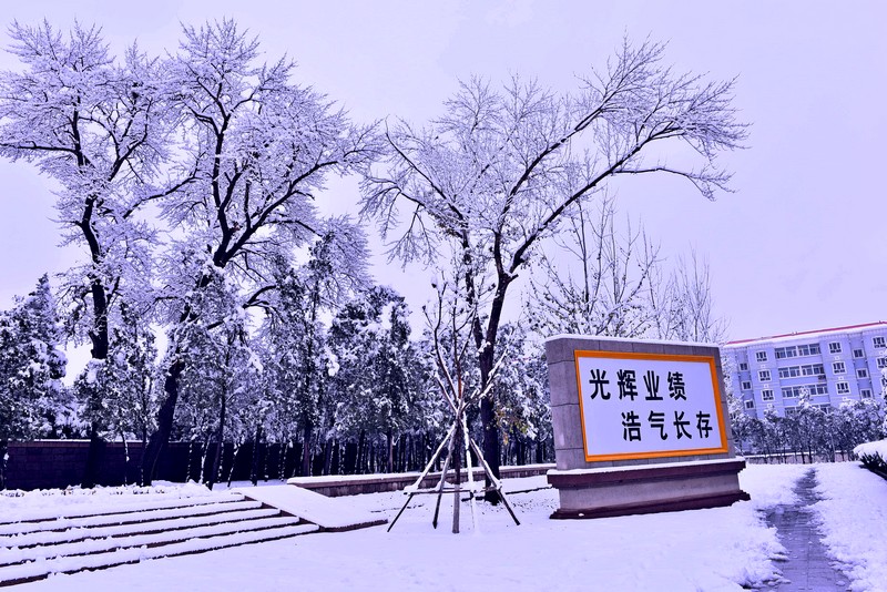 DSC_3145--x.jpg
