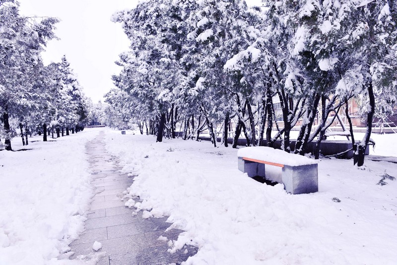 DSC_3113--С.jpg