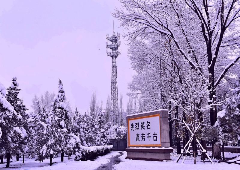 DSC_3147--x.jpg