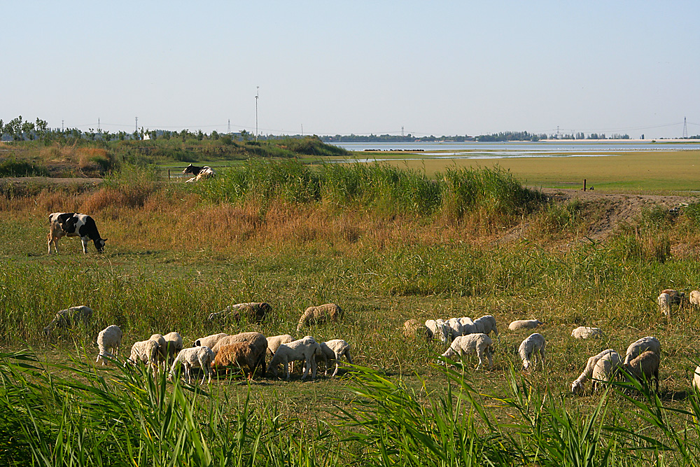 IMG_5868.jpg