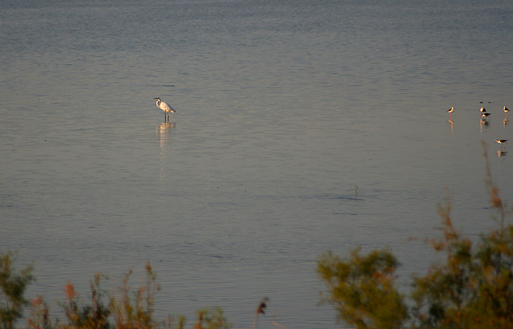 IMG_5970.jpg