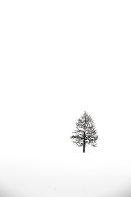 _U0A68641.jpg