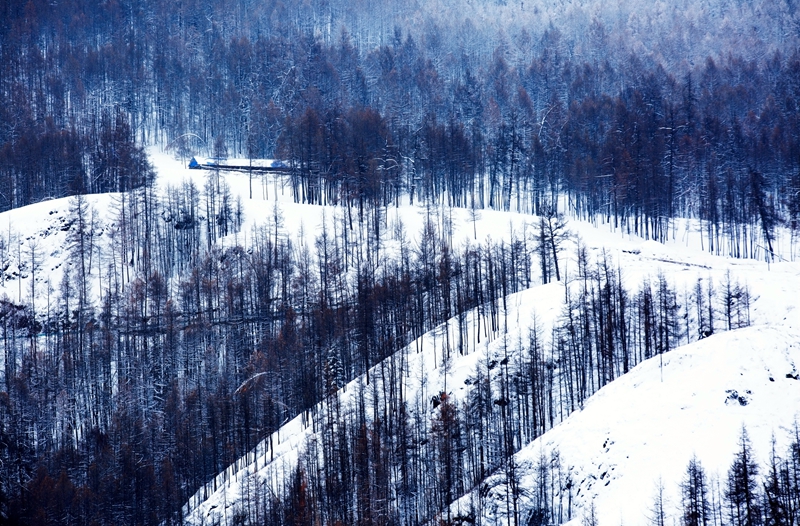 _U0A65291.jpg