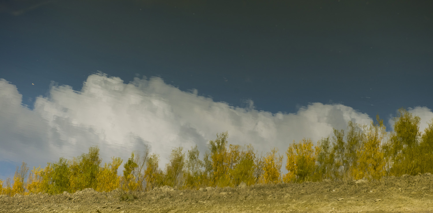 _DSC3943.JPG
