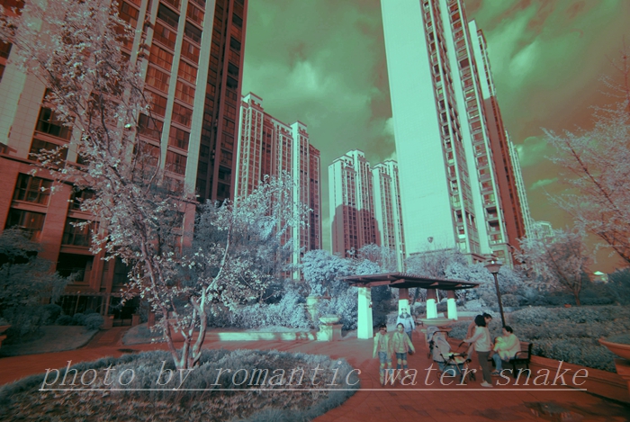 0_71842_3b703bae6da1d12.jpg