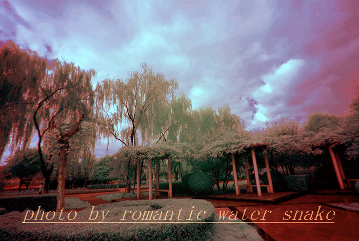 0_71842_9c9a8d0b66c355a.jpg