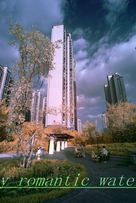 0_71842_12b477d84b5edad.jpg