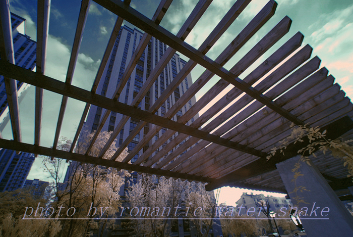 0_71842_422e221cfeedfb6.jpg