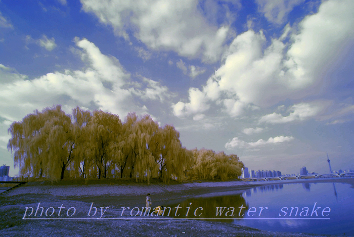 0_71842_924b3d0e4750aee.jpg