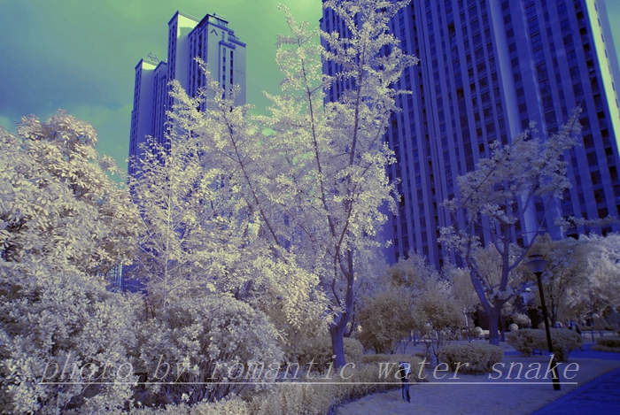 0_71842_758471368d2e854.jpg