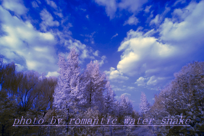 0_71842_bc5ccf3a1ad884a.jpg