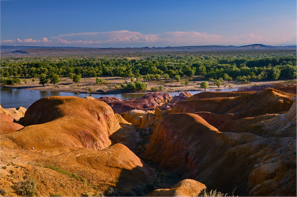 DSC_1024-1.jpg