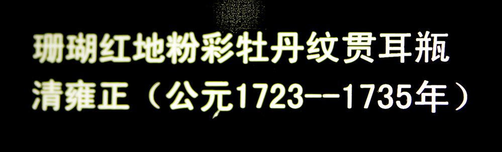 IMGL3784.jpg