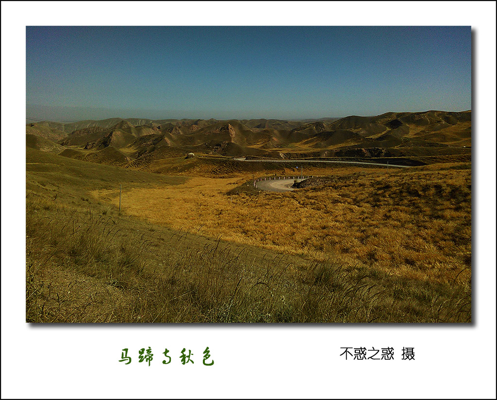 IMG_20151008_130112_1.jpg