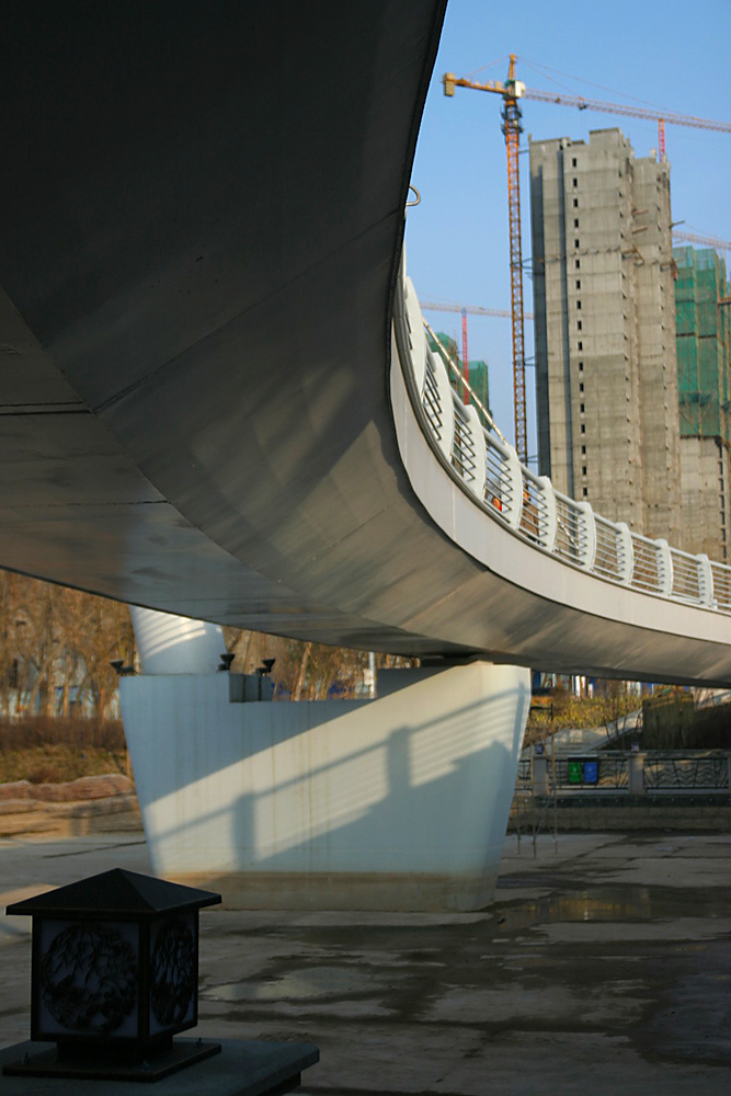 IMG_7874_.jpg