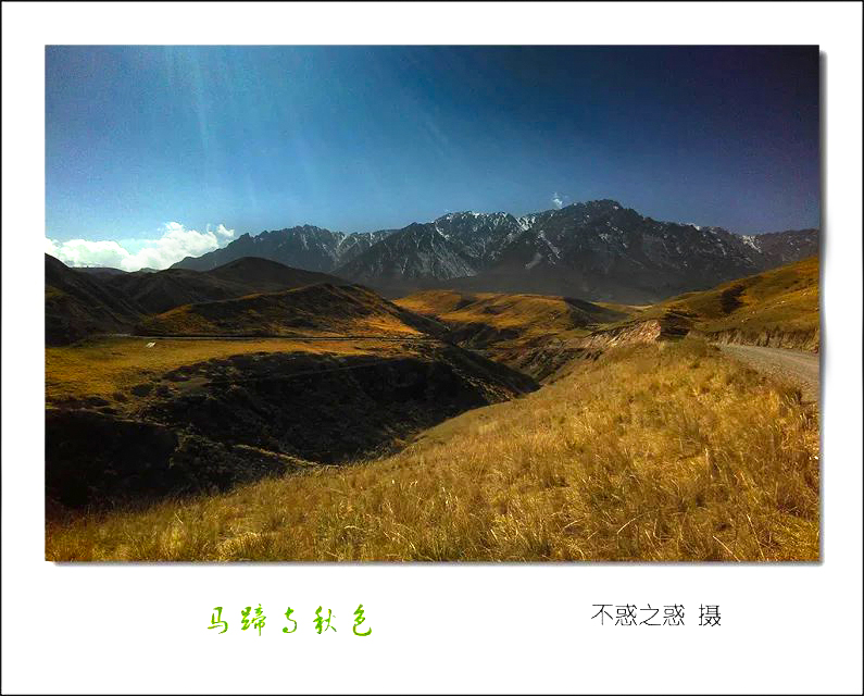 IMG_20151008_123559_11.jpg