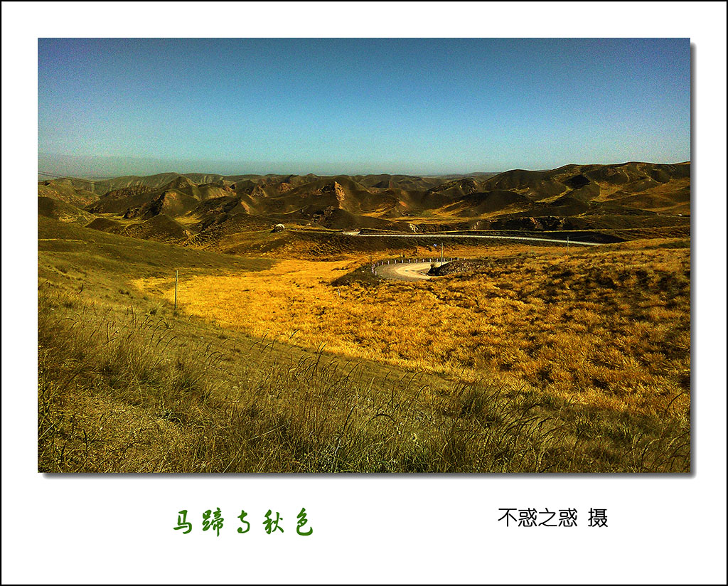 IMG_20151008_130112_1.jpg