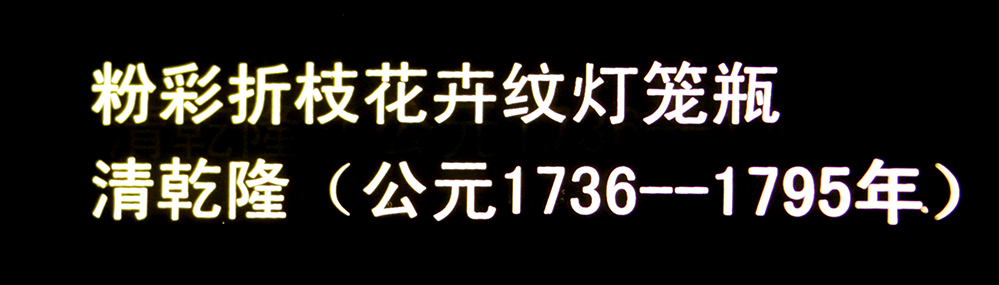 IMGL3786.jpg