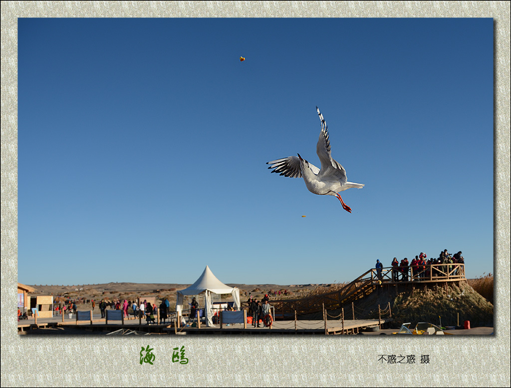 DSC_9386.jpg