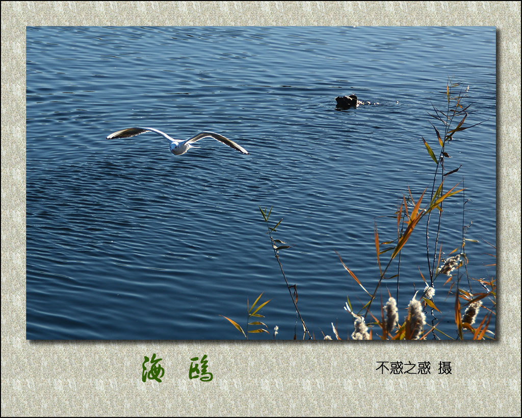 DSC_9363.jpg