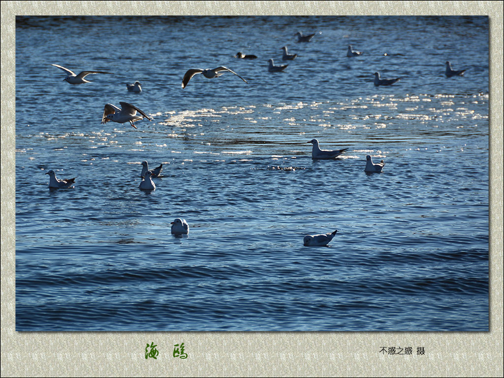 DSC_9404.jpg