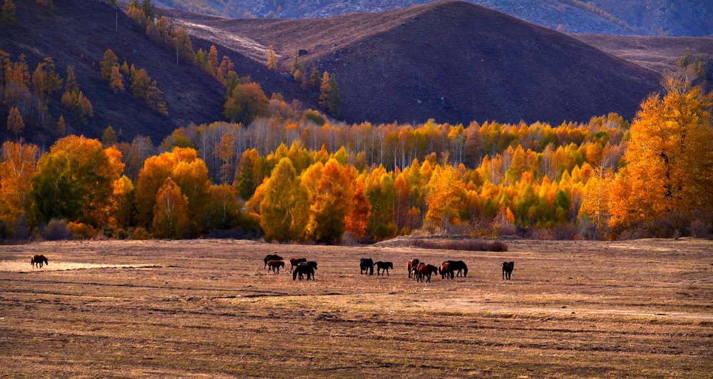 DSC_1690-1.jpg