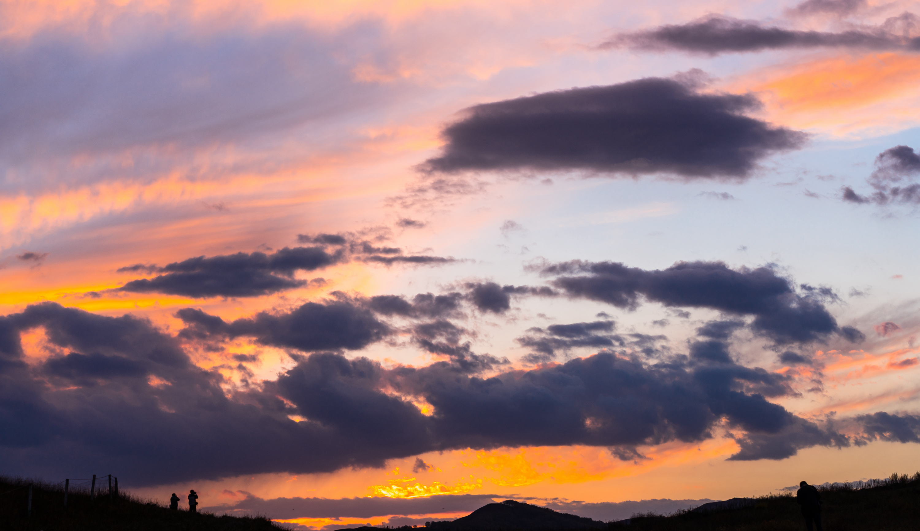DSC00187_.jpg