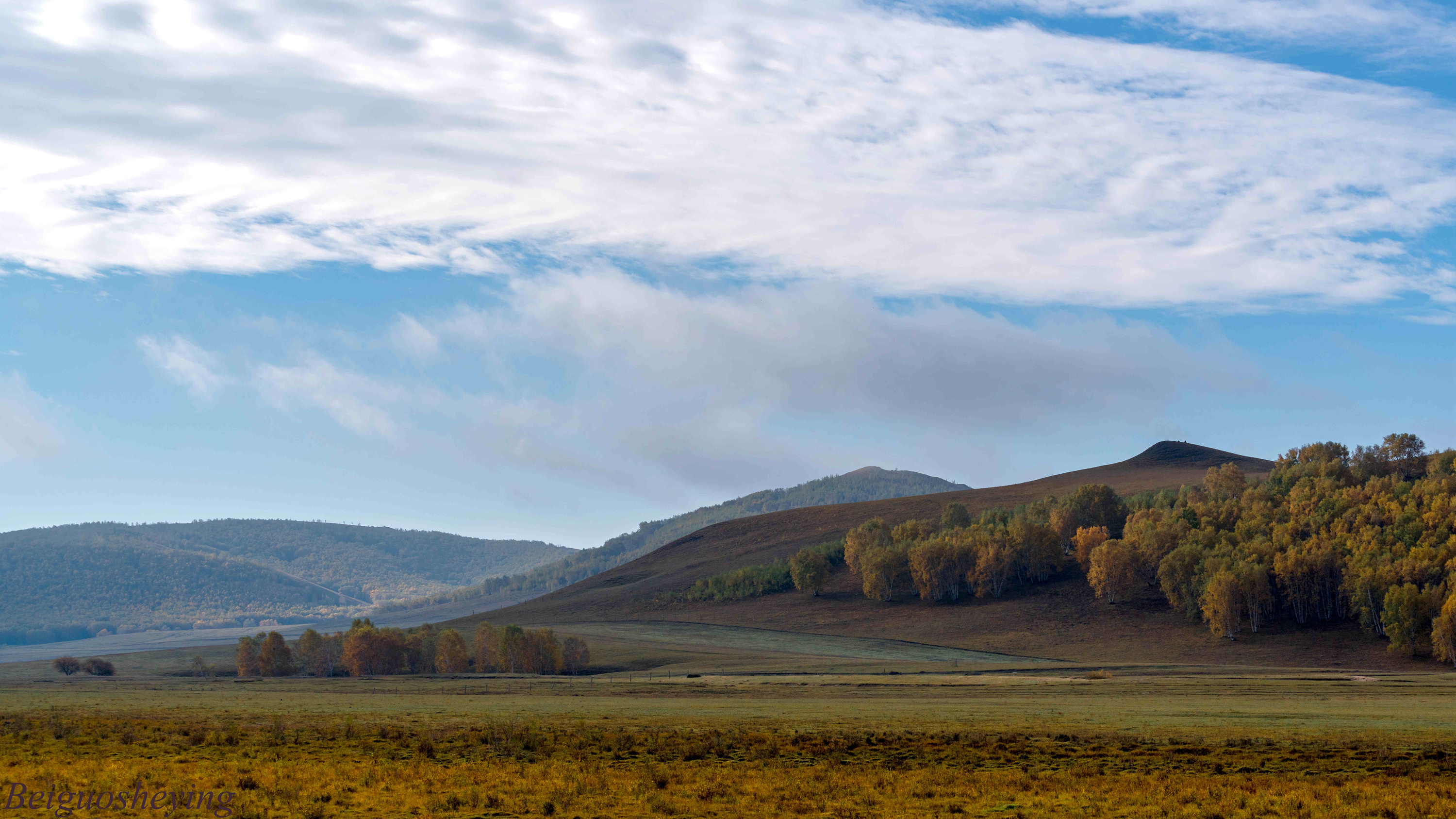 DSC02174_.jpg