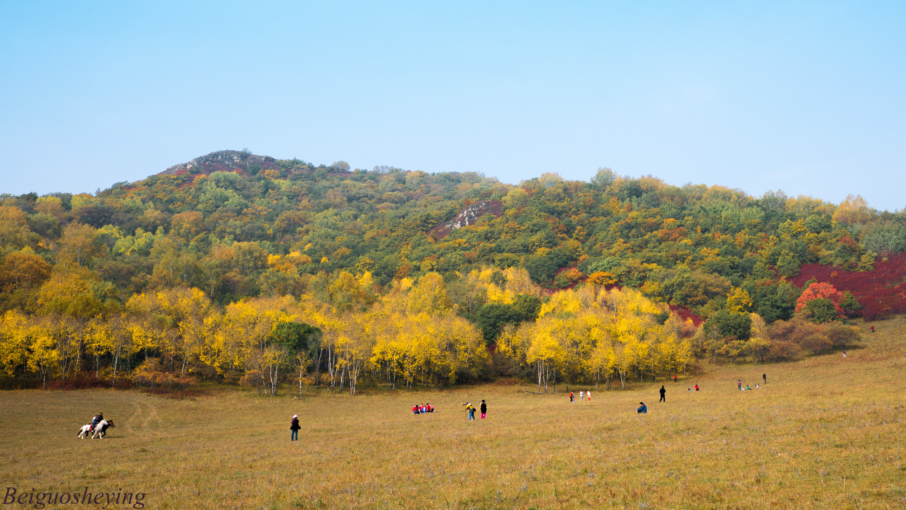 DSC01673_.jpg