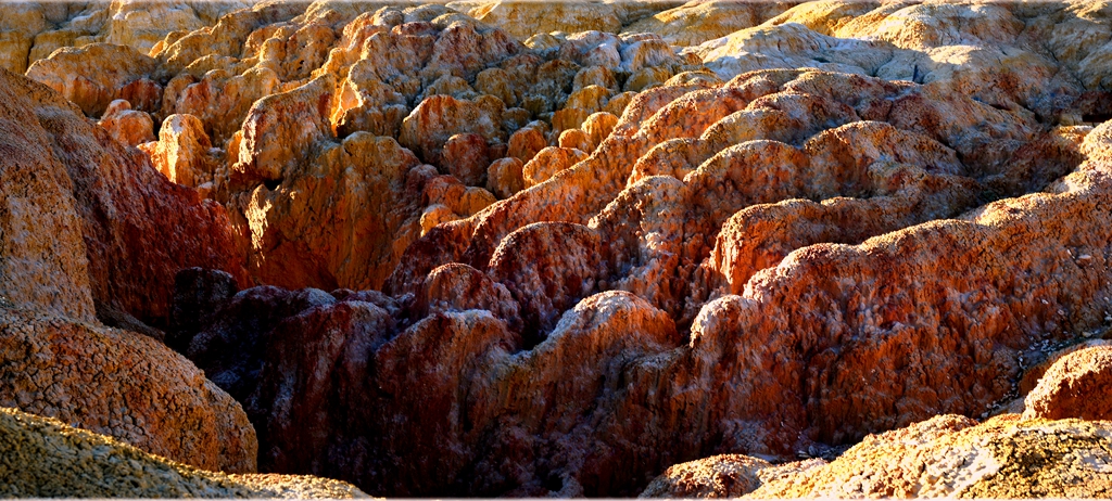DSC_1088-1.jpg