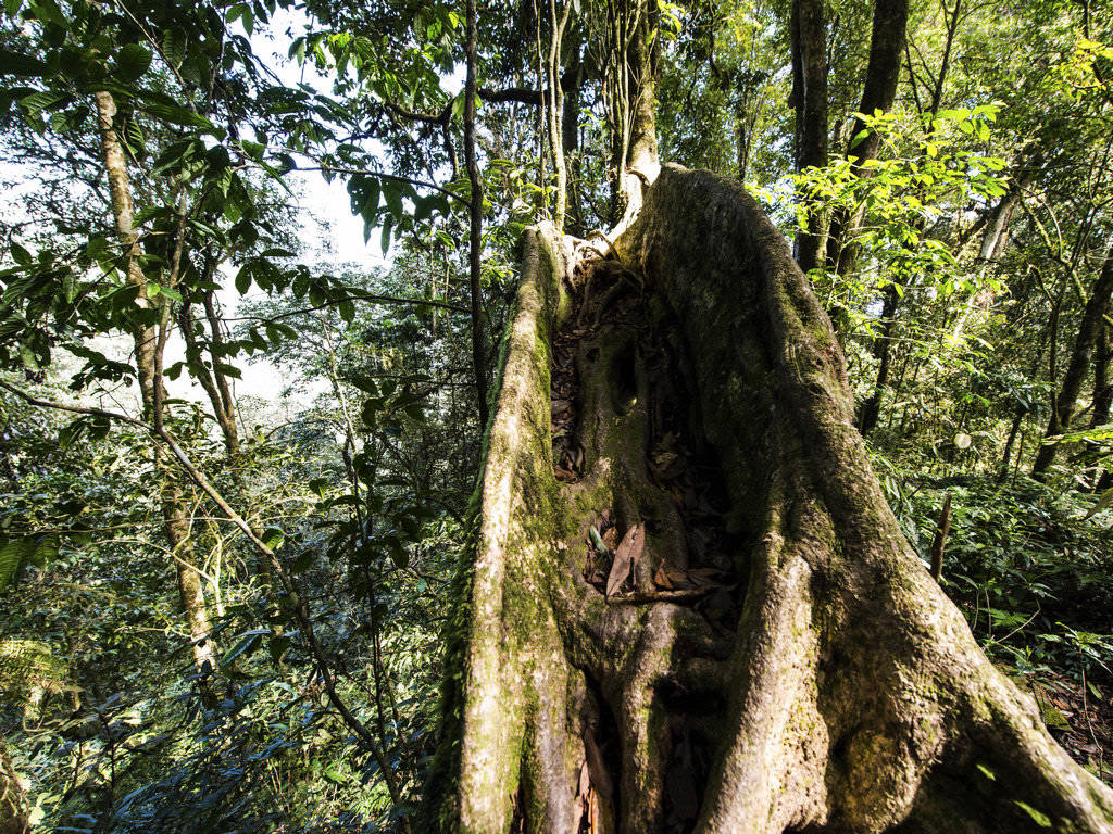 _DSC8522.jpg