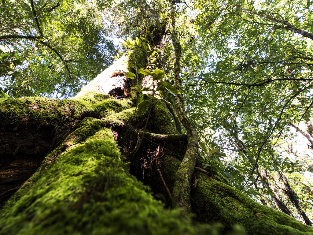 _DSC8533.jpg
