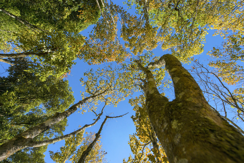 _DSC8559.jpg