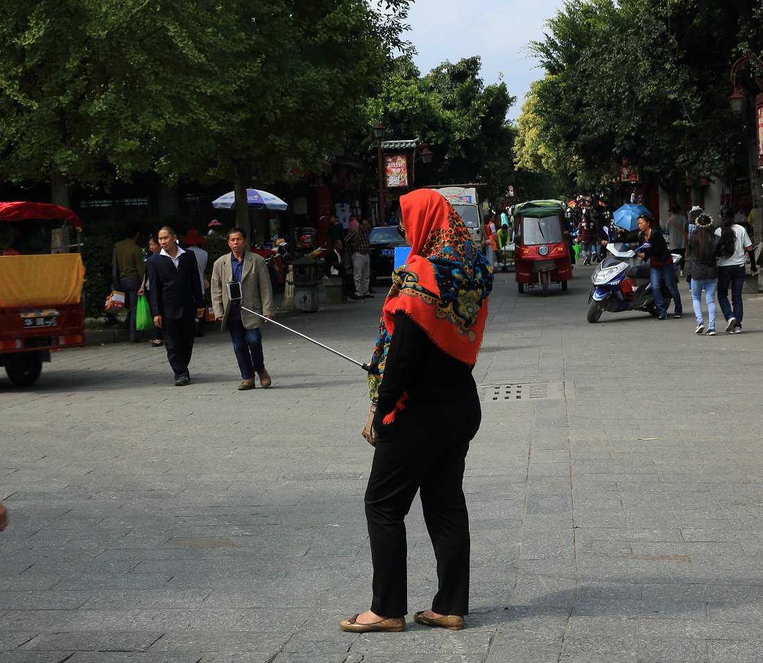 D7208.jpg