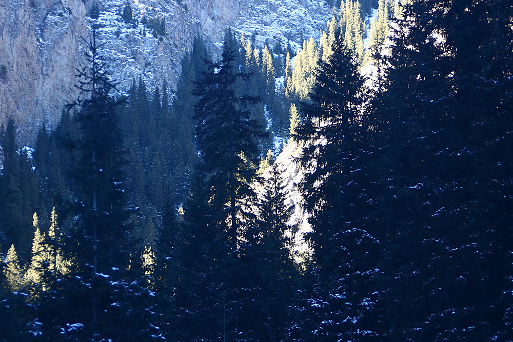IMG_1516 .jpg