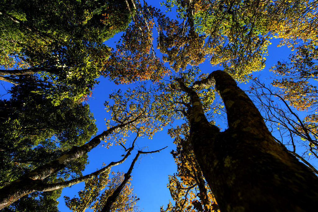 _DSC8559.jpg
