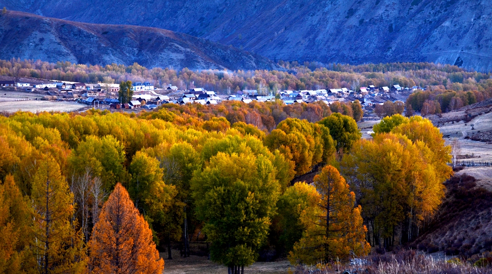 DSC_1745-1.jpg