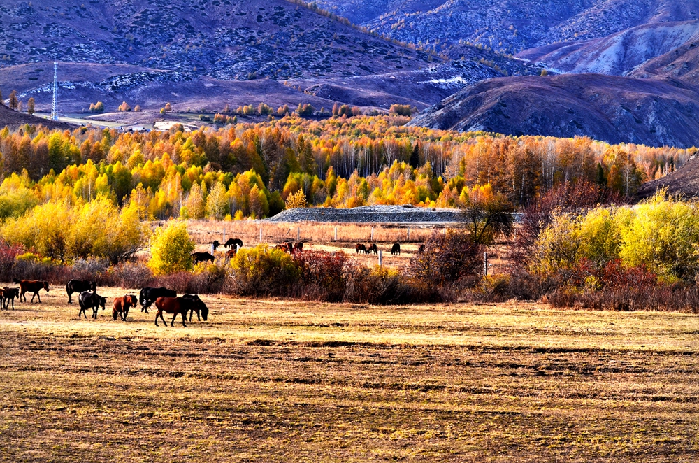 DSC_1700-1.jpg