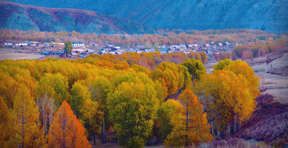 DSC_1744-1.jpg