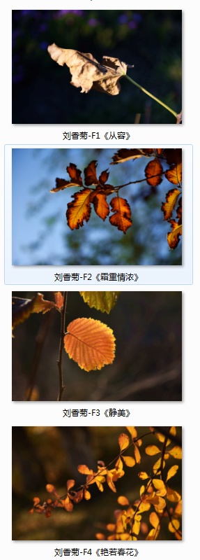 QQͼƬ20151119192100.png