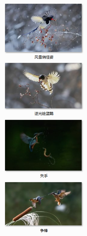 QQͼƬ20151119193301.png