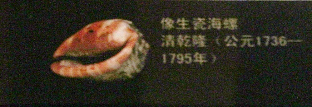 IMGL3808.jpg
