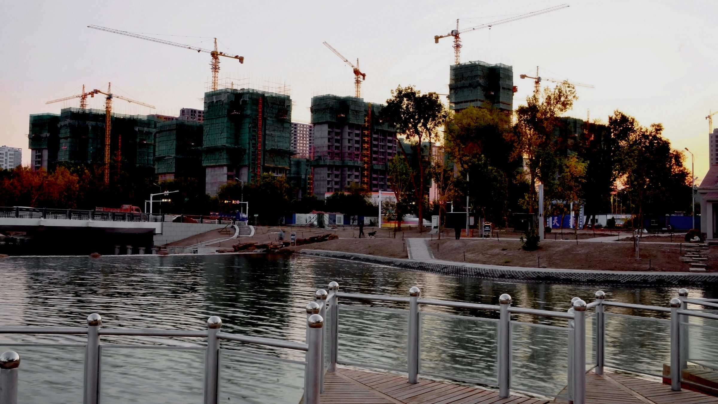 n_DSC3750.jpg
