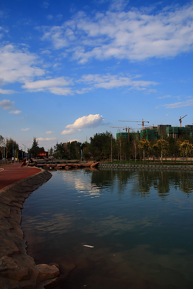 IMG_2065.jpg
