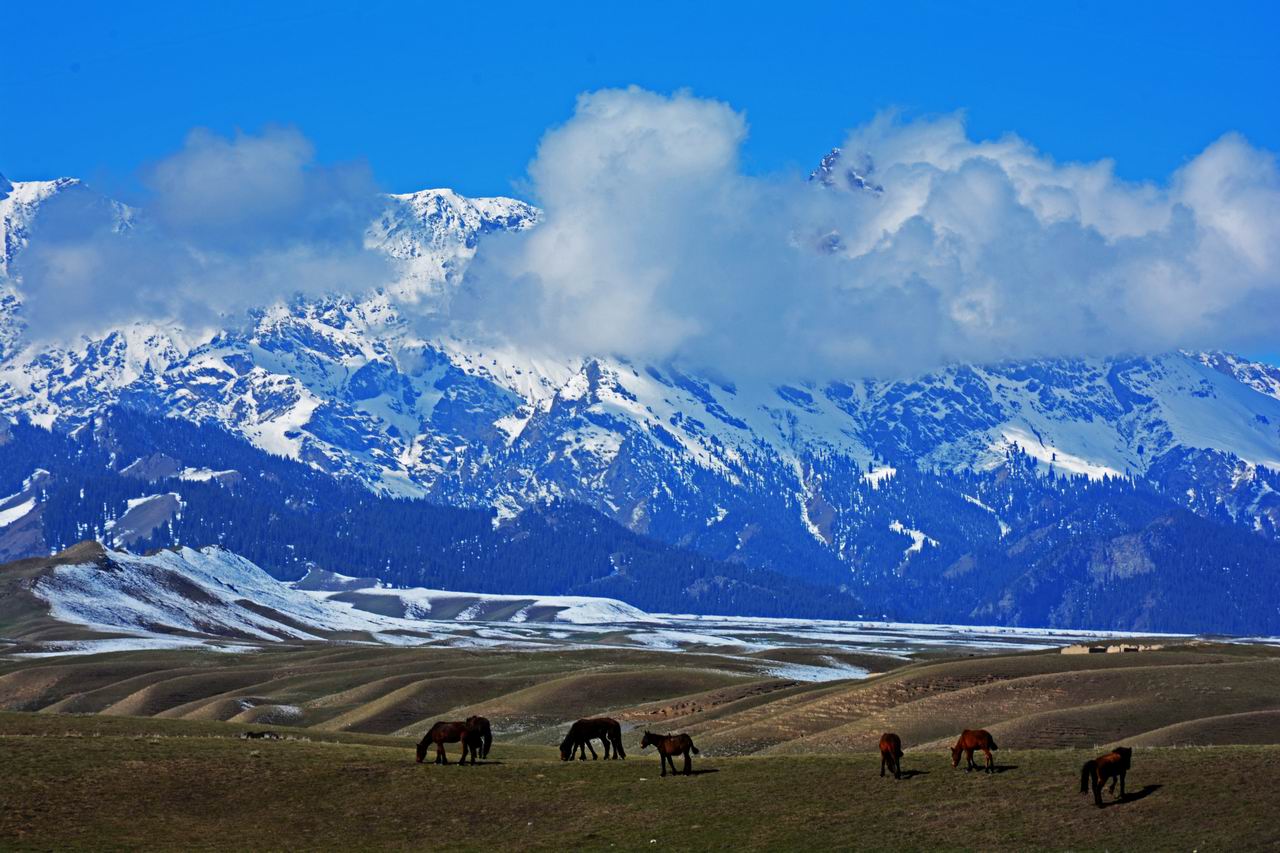 С DSC_0235_.jpg